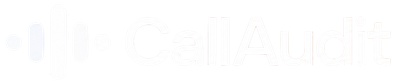 callaudit